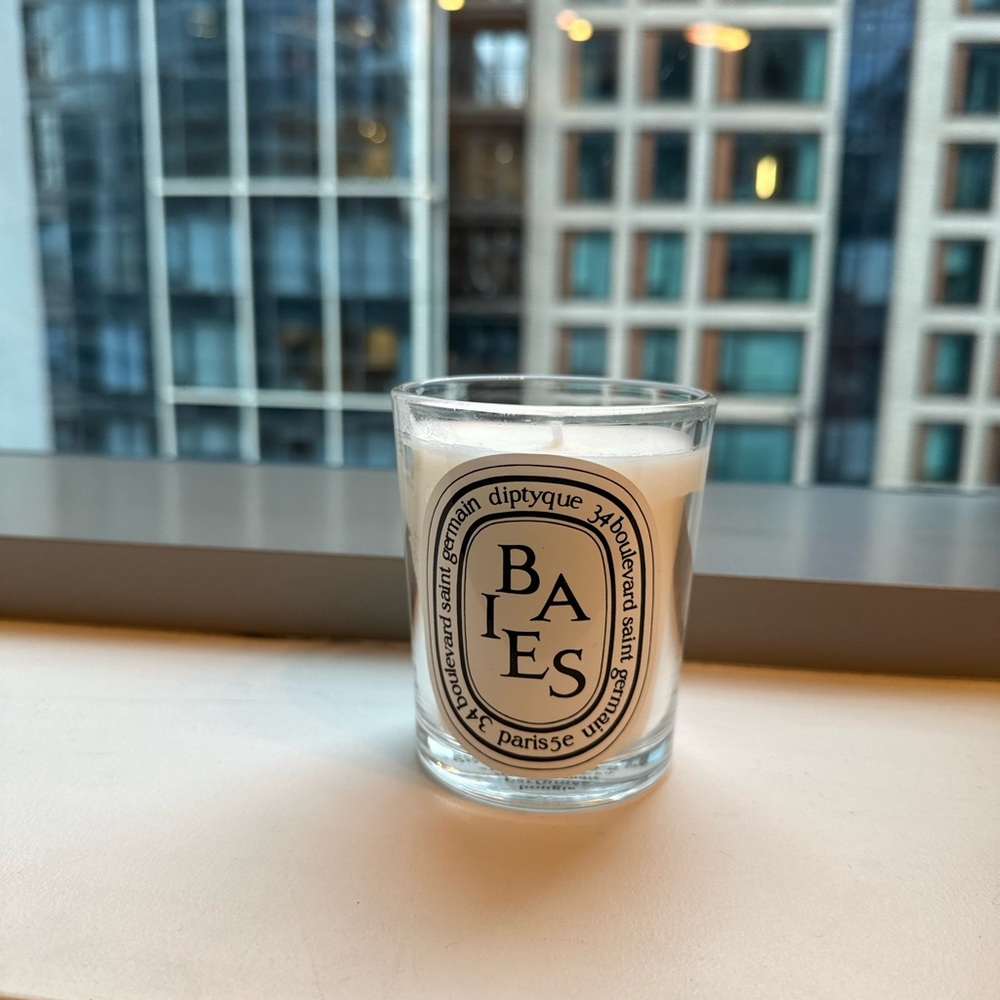 Diptyque Baies Candle